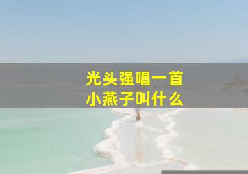 光头强唱一首小燕子叫什么