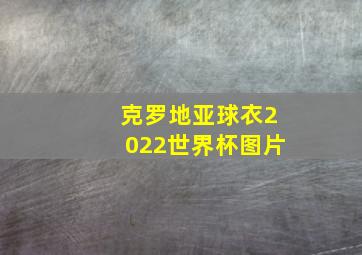 克罗地亚球衣2022世界杯图片