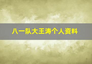 八一队大王涛个人资料