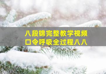 八段锦完整教学视频口令呼吸全过程八八