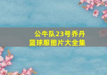 公牛队23号乔丹篮球服图片大全集