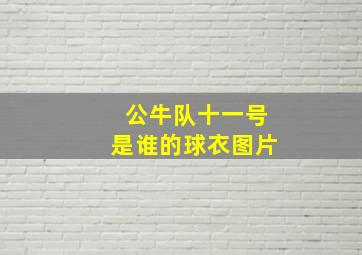 公牛队十一号是谁的球衣图片