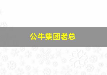 公牛集团老总