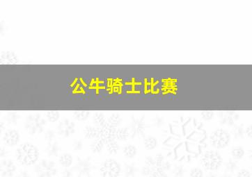 公牛骑士比赛