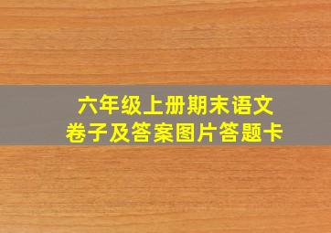 六年级上册期末语文卷子及答案图片答题卡