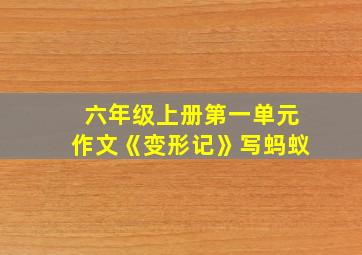 六年级上册第一单元作文《变形记》写蚂蚁