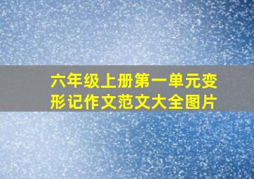 六年级上册第一单元变形记作文范文大全图片