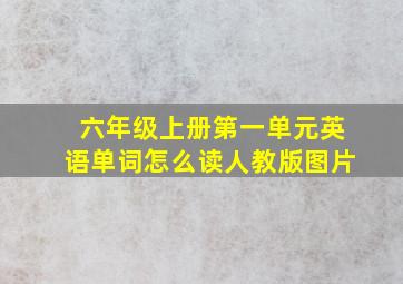 六年级上册第一单元英语单词怎么读人教版图片