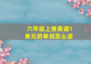 六年级上册英语1单元的单词怎么读