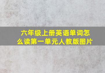 六年级上册英语单词怎么读第一单元人教版图片