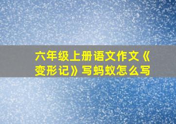 六年级上册语文作文《变形记》写蚂蚁怎么写