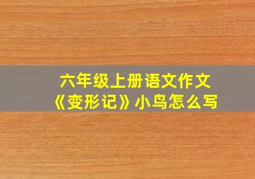 六年级上册语文作文《变形记》小鸟怎么写