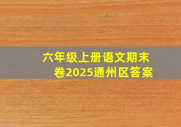 六年级上册语文期末卷2025通州区答案