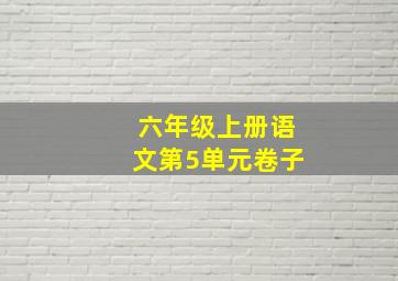 六年级上册语文第5单元卷子