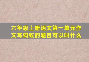 六年级上册语文第一单元作文写蚂蚁的题目可以叫什么