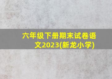 六年级下册期末试卷语文2023(新龙小学)