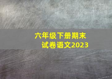 六年级下册期末试卷语文2023