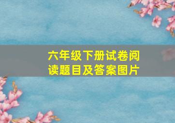 六年级下册试卷阅读题目及答案图片