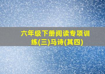 六年级下册阅读专项训练(三)马诗(其四)