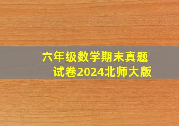 六年级数学期末真题试卷2024北师大版