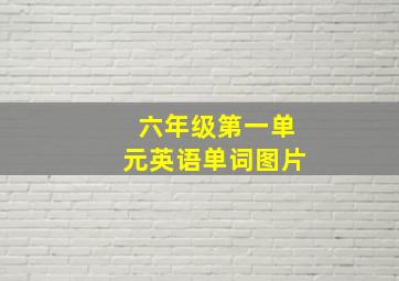 六年级第一单元英语单词图片