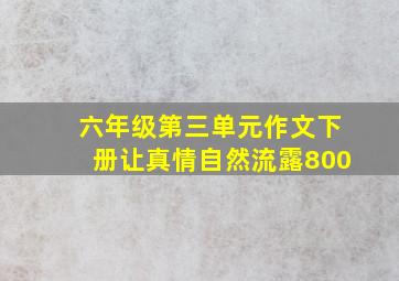 六年级第三单元作文下册让真情自然流露800