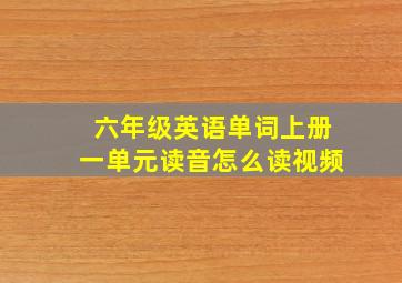 六年级英语单词上册一单元读音怎么读视频