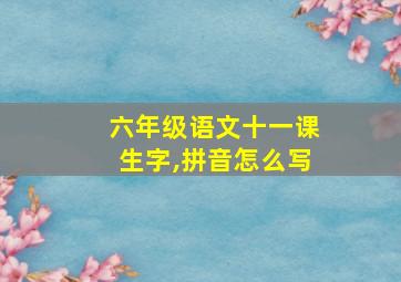 六年级语文十一课生字,拼音怎么写