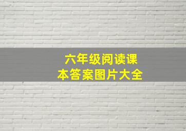 六年级阅读课本答案图片大全