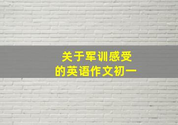 关于军训感受的英语作文初一