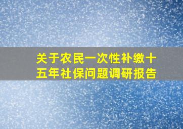 关于农民一次性补缴十五年社保问题调研报告