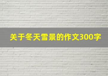 关于冬天雪景的作文300字