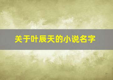 关于叶辰天的小说名字