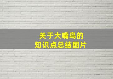 关于大嘴鸟的知识点总结图片