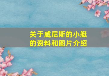 关于威尼斯的小艇的资料和图片介绍