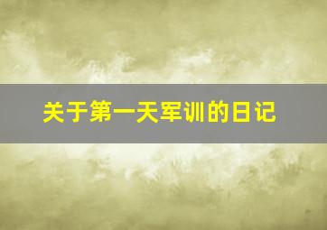 关于第一天军训的日记