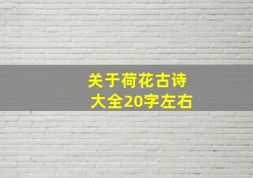 关于荷花古诗大全20字左右