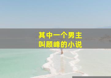 其中一个男主叫顾峰的小说