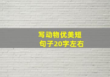 写动物优美短句子20字左右