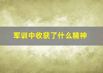 军训中收获了什么精神