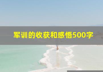 军训的收获和感悟500字