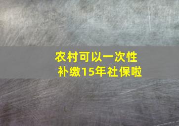 农村可以一次性补缴15年社保啦