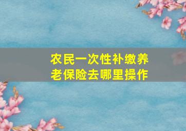 农民一次性补缴养老保险去哪里操作