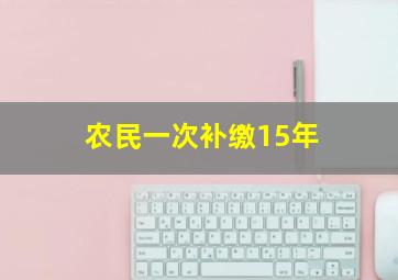 农民一次补缴15年