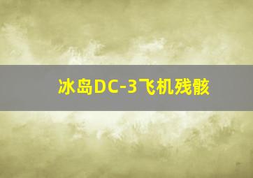 冰岛DC-3飞机残骸