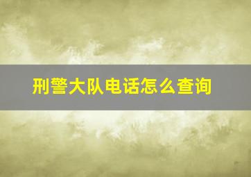 刑警大队电话怎么查询