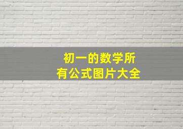 初一的数学所有公式图片大全