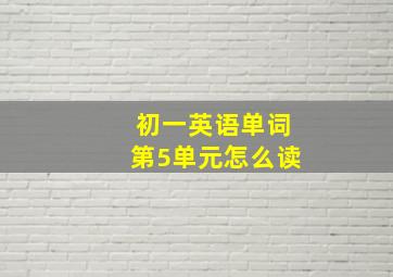 初一英语单词第5单元怎么读