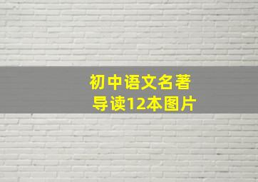 初中语文名著导读12本图片