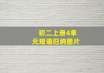 初二上册4单元短语归纳图片